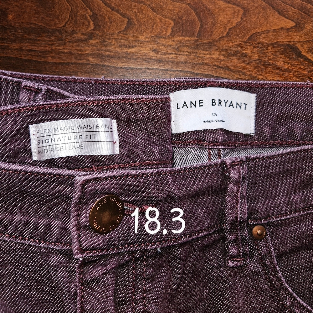 Lane Bryant Women's Deep Purple Flare Jeans